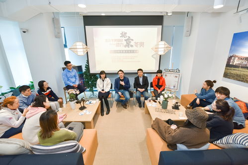 冰雪交融，文化互鑒 2020年冬奧文化交流會公益活動在京成功舉行