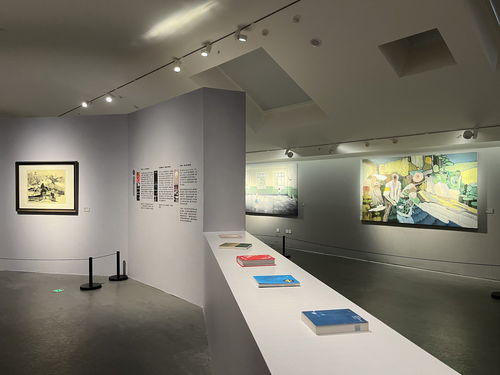成渝藝韻·雙城交響——67件精品力作亮相四川美術館