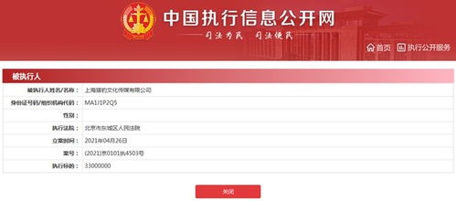 天降“凈網”風波中的3.3億元懸疑 鄭愷公司被執行警示文化產業誠信底線
